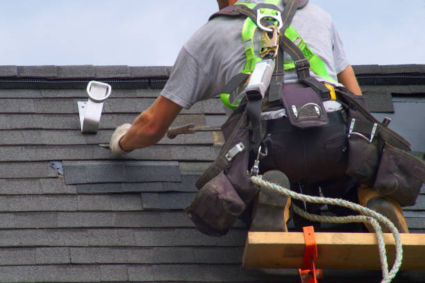 Best Residential Roofing Contractor  in Delisle, MS