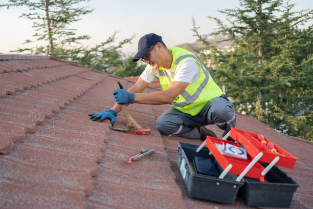 Best Tile Roofing Contractor  in Delisle, MS